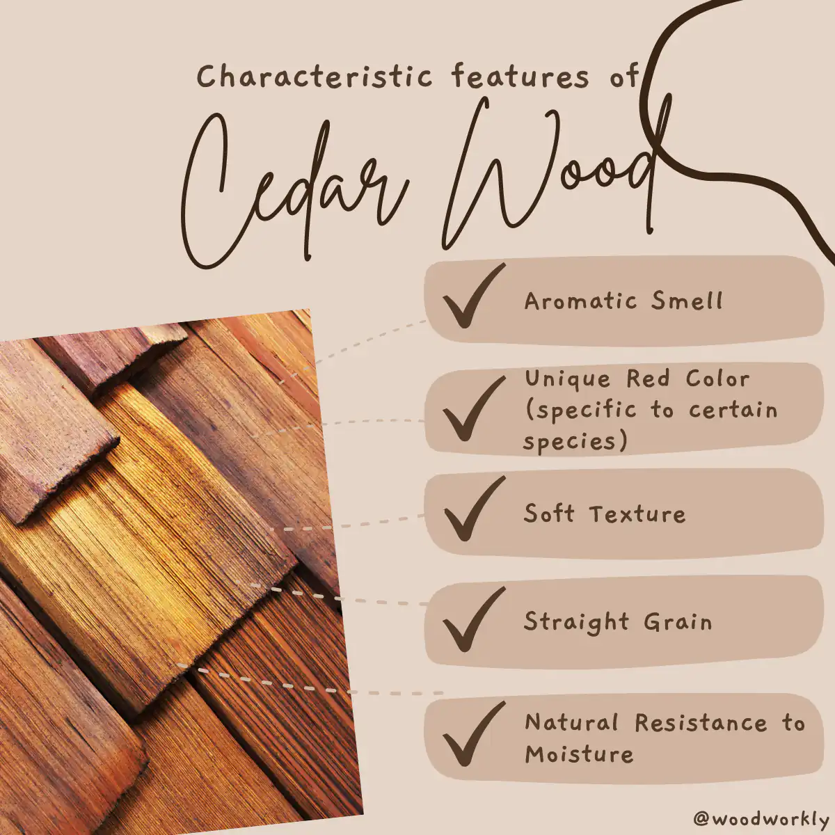 Characteristic features of Cedar wood
