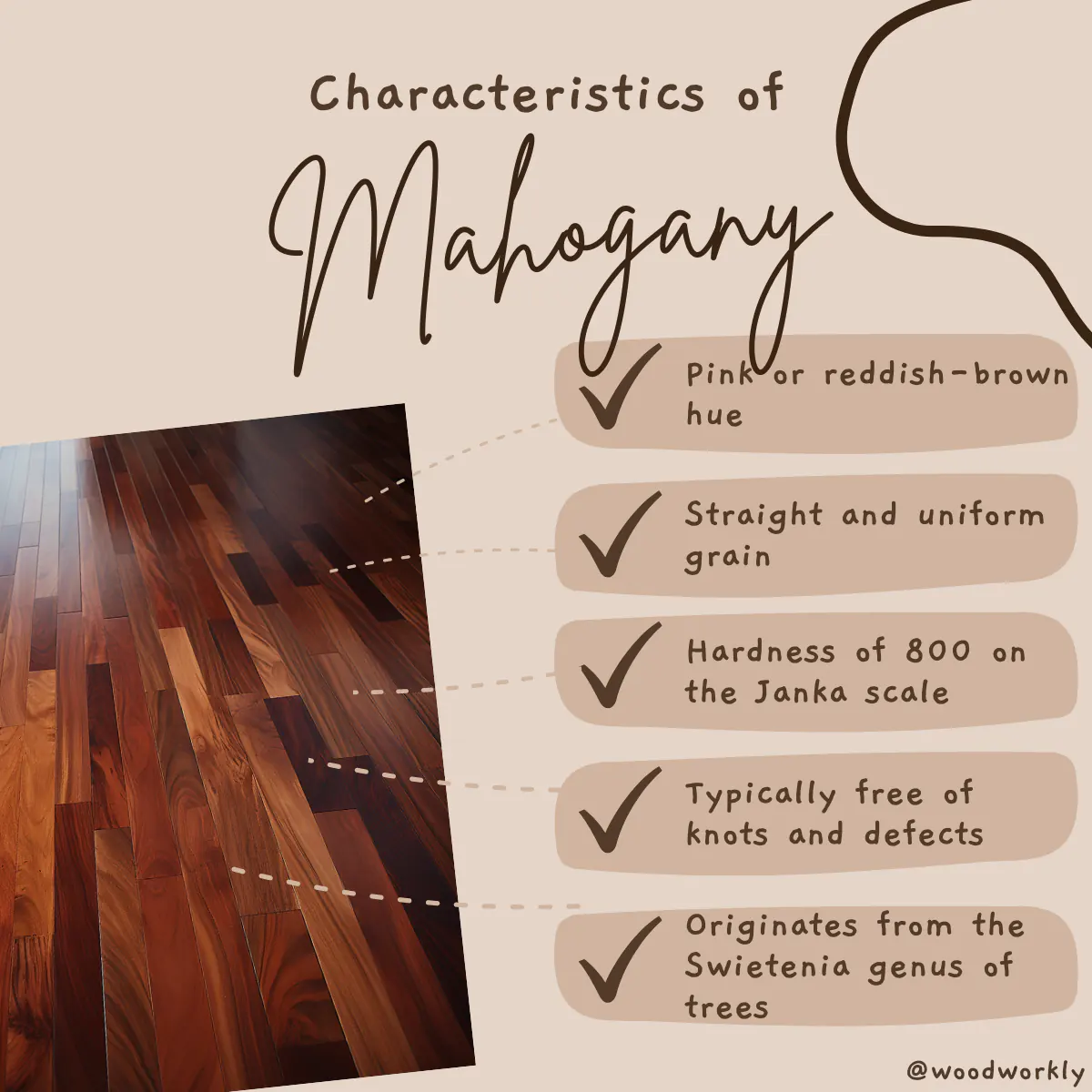 Characteristic features of Mahogany