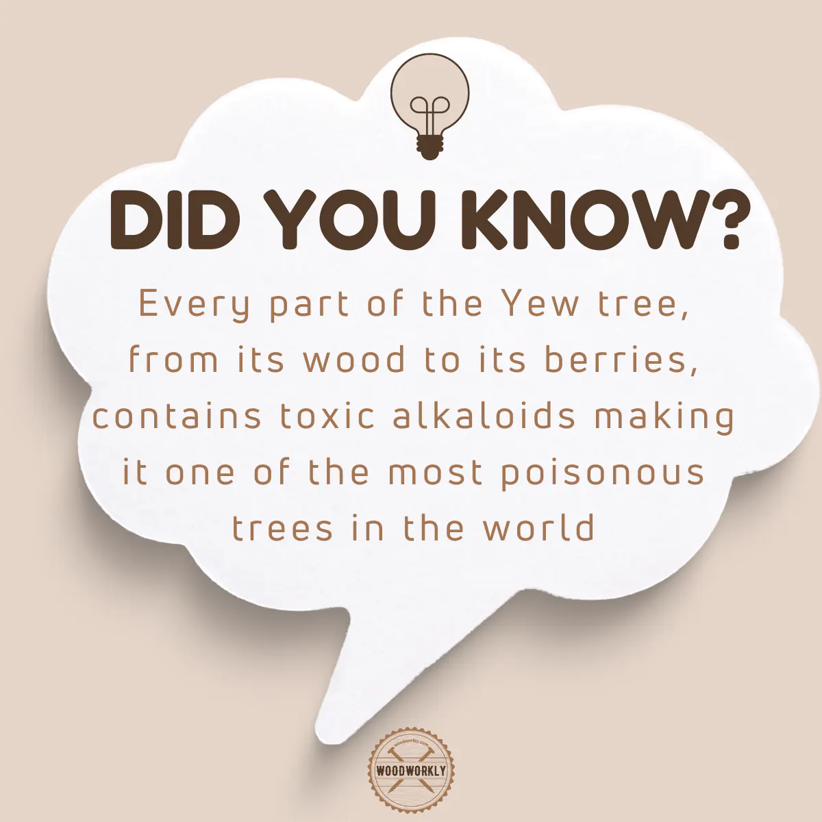 Did you know fact about Yew wood