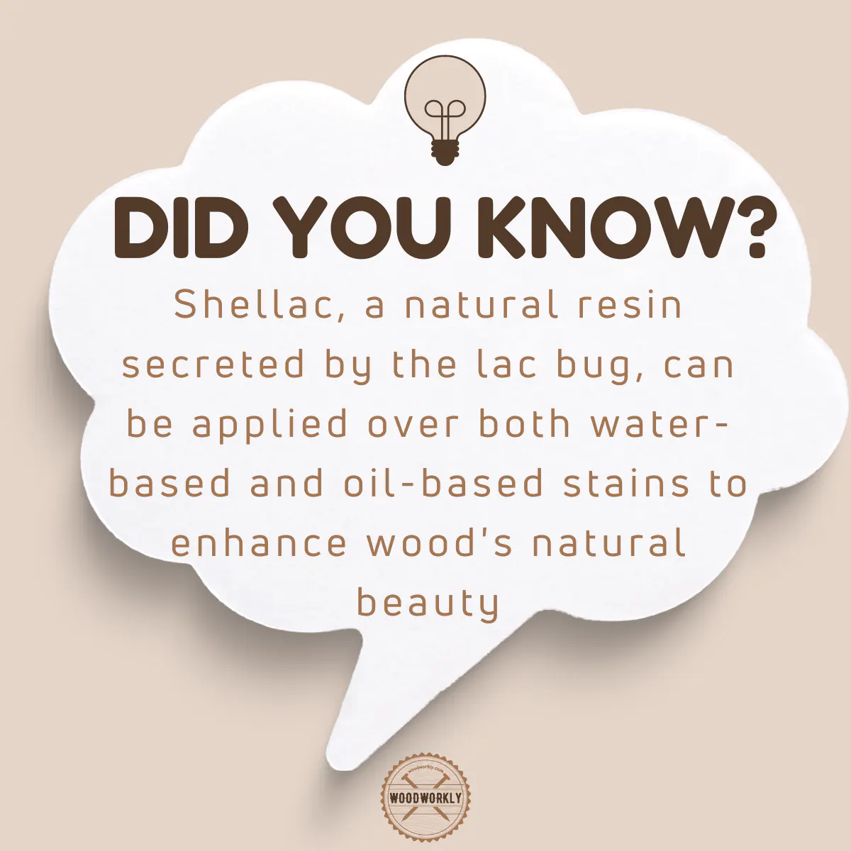 Did you know fact about applying shellac over stain