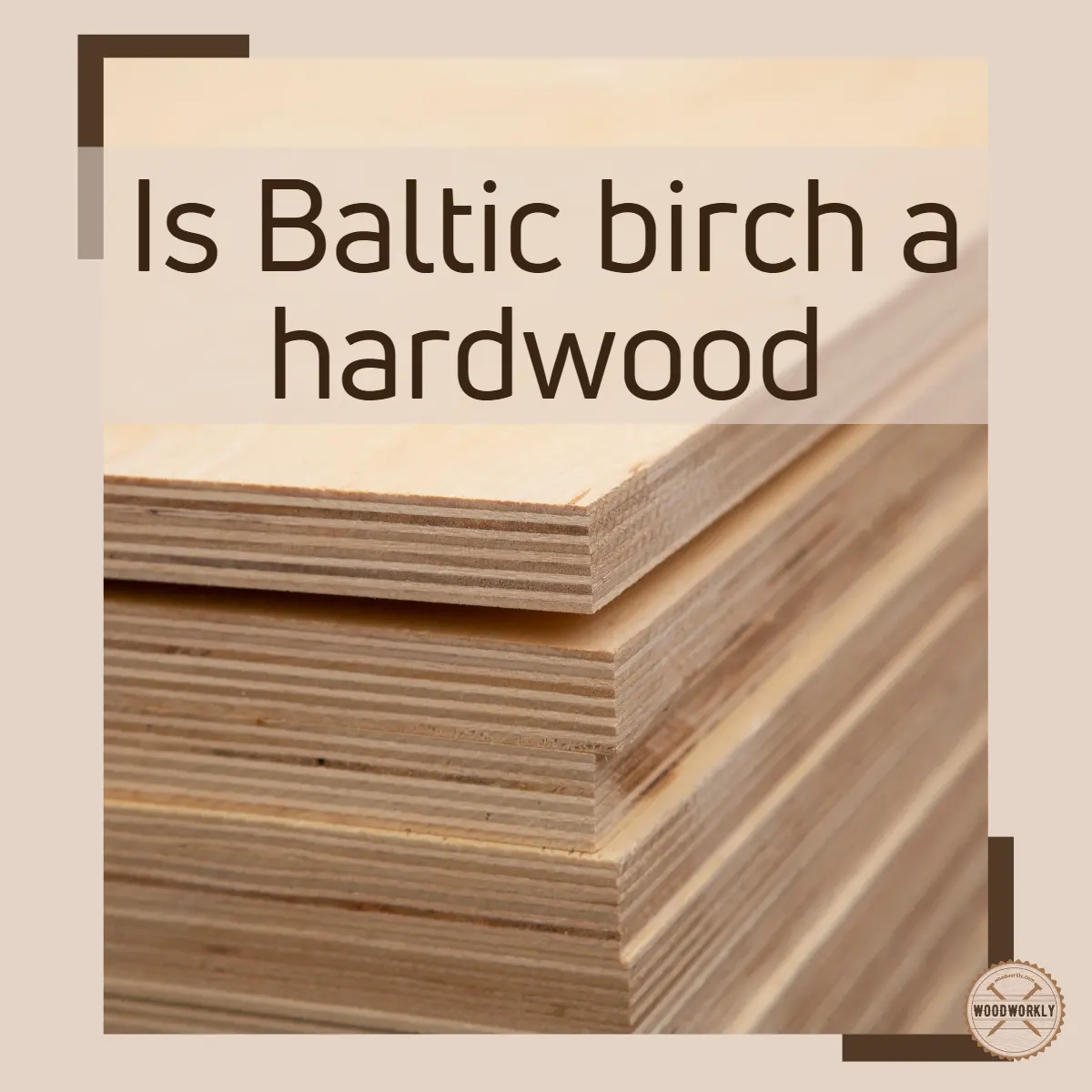 Is Baltic Birch A Hardwood