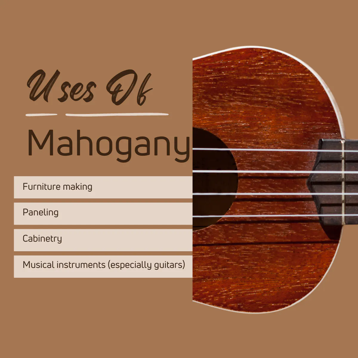 Uses of Mahogany