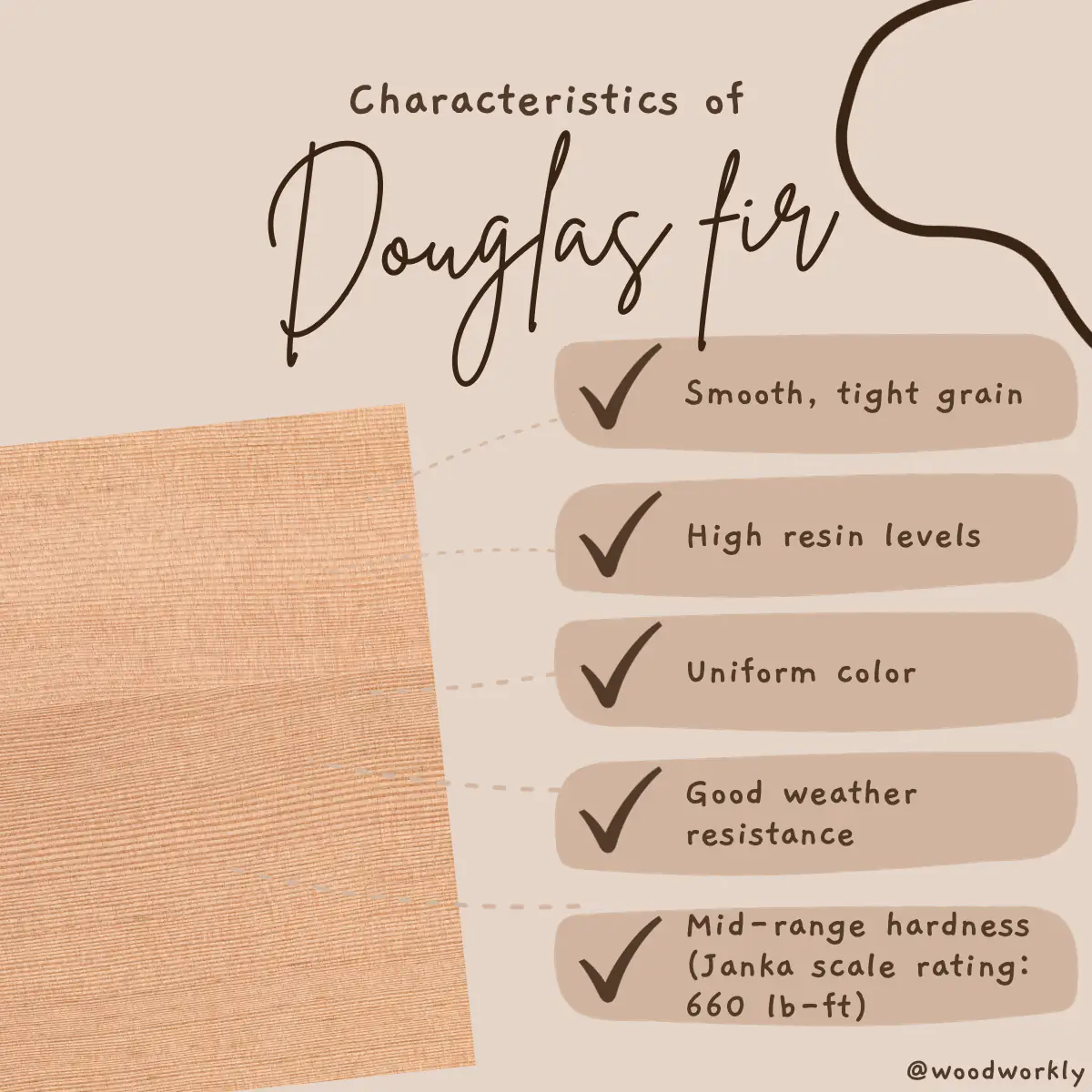 Characteristic features of Douglas fir