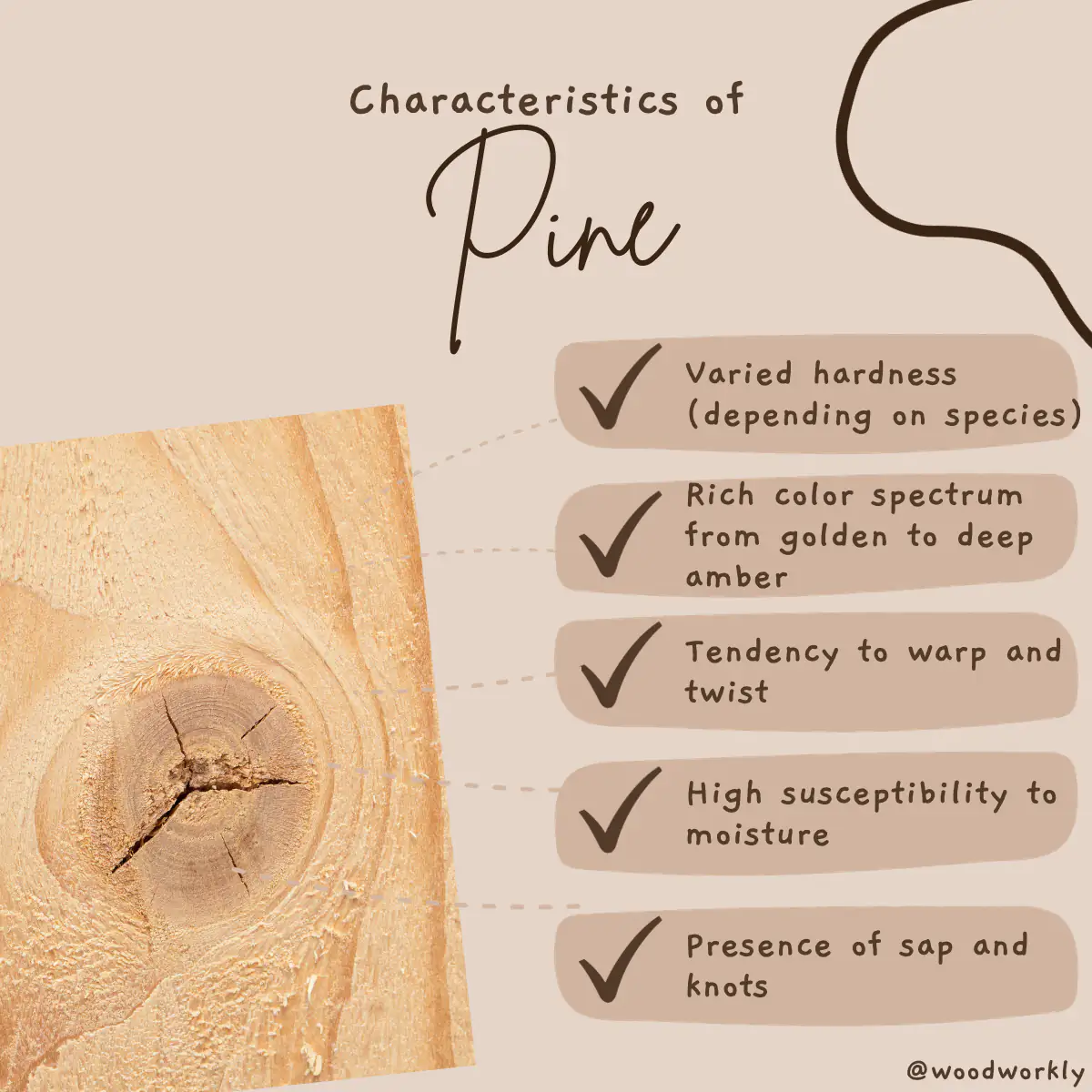 Characteristic features of Pine
