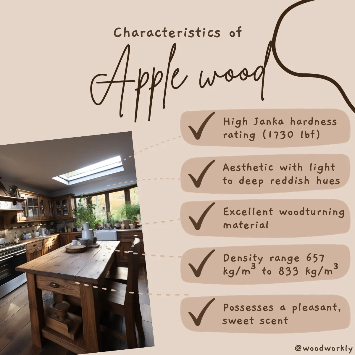 Characteristic features of apple wood