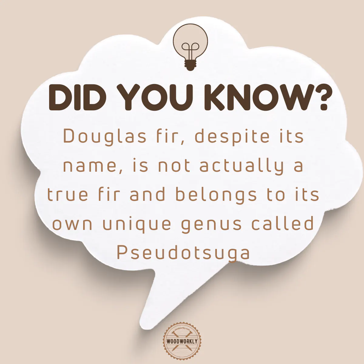 Did you know fact about Douglas fir