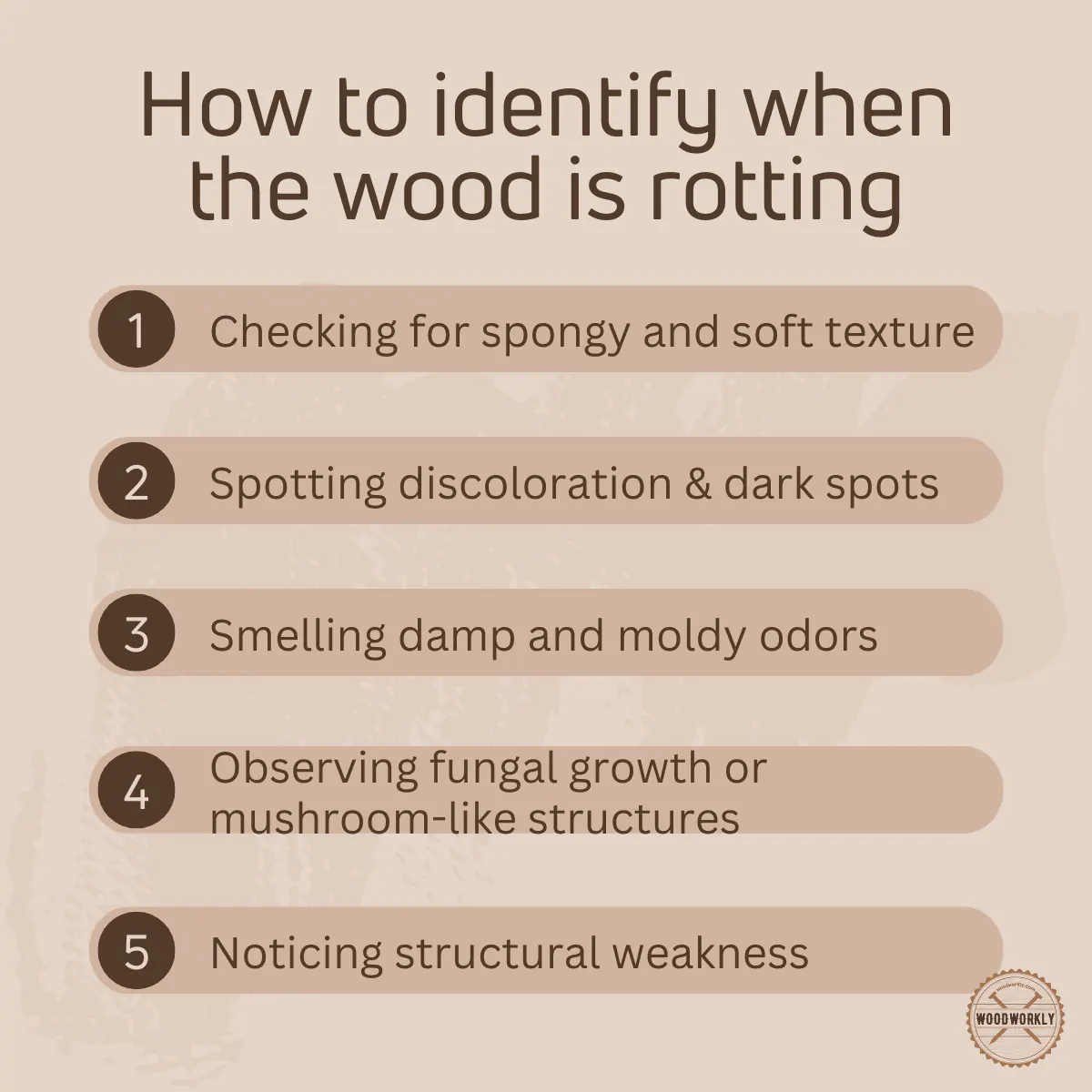 How to identify when the wood is rotting