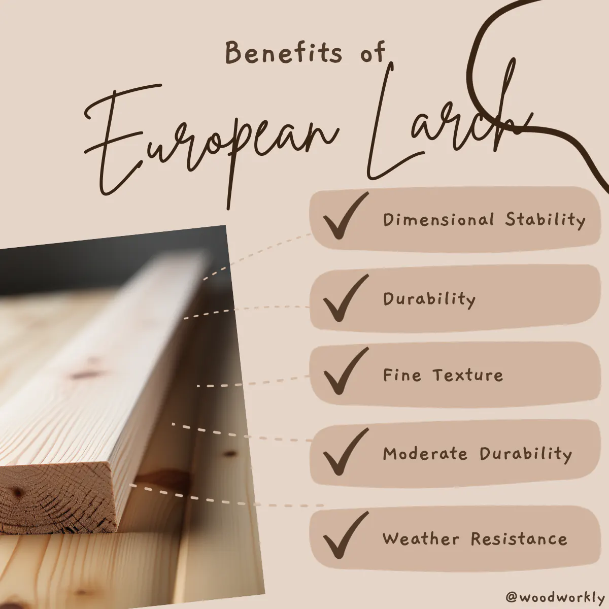 Benefits of European larch as a window sill replacement wood