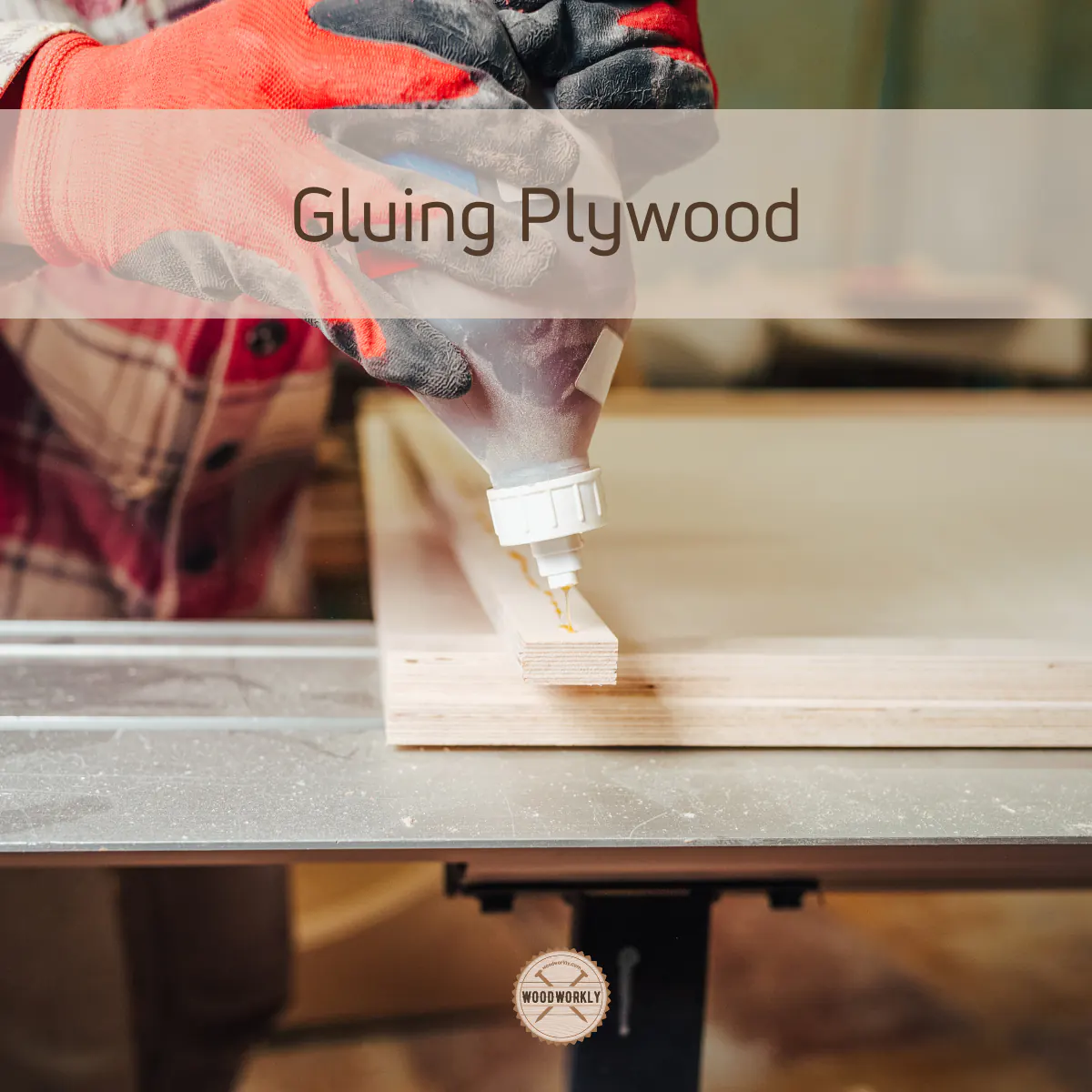 Gluing Plywood