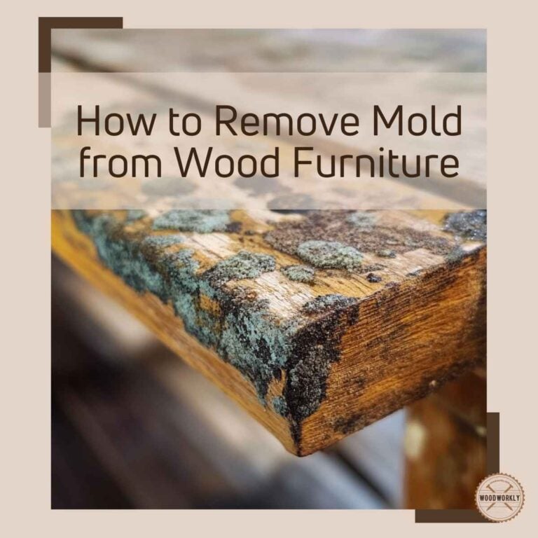 How to Remove Mold from Wood Furniture in 5 Simple Steps